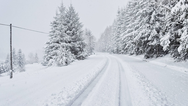 FOTOGALÉRIA: Slovensko pod snehom. Toto sú posledné rozprávkové fotky tejto zimy