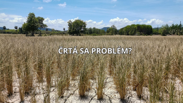 Slovensku hrozí nebezpečenstvo. Počasie totiž prinesie absolútne nechcenú situáciu