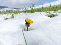 Slovensko TERAZ čaká ochladenie, zrážky a niekde príde aj sneh