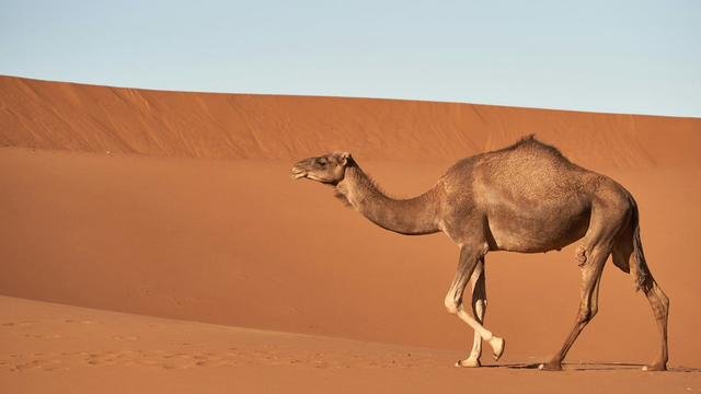Slovensko čaká africký víkend: Teploty budú nadpriemerné, oblohu však zakalí prach zo Sahary