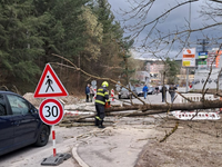Slovenskom sa ženie silný vietor, láme stromy a spôsobuje škody