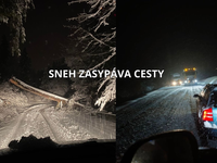 Kalamita sa vrátila. Padajú stromy, sneh uzatvára cesty, napadlo viac ako 40 cm snehu