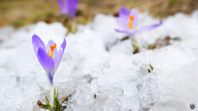 Do Európy sa vracia zima aj sneženie s víchricou