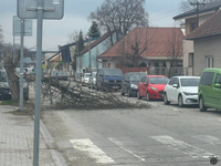 Vietor na Slovensku láme stromy. Fúkať bude naďalej