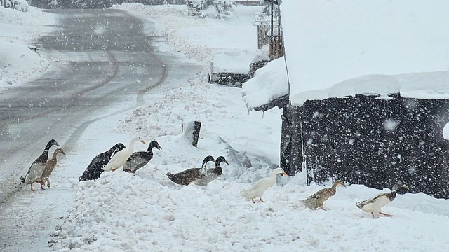 FOTO: Zimná rozprávka na severe Slovenska končí. Teraz prichádza prudký zvrat a jarné teploty