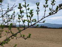 Nový rekord: Takéto počasie sme na Slovensku nemali 65 rokov