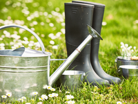 Nezvyčajne teplý začiatok marca láka do záhrad. Teplo je príjemné, ale riziko mrazov stále reálne