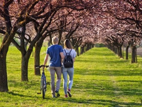 Odborníci varujú: Teplé počasie prináša skryté nebezpečenstvo