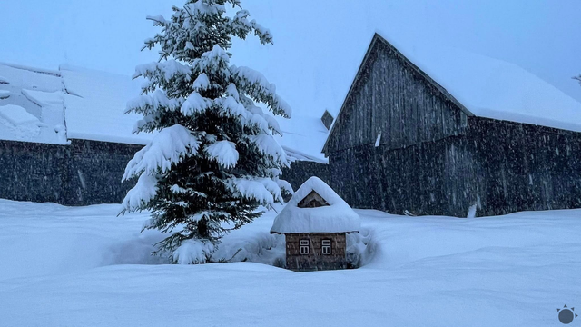 FOTO: Neuveriteľné ráno na Slovensku: Cez noc nasnežilo 25 cm nového snehu