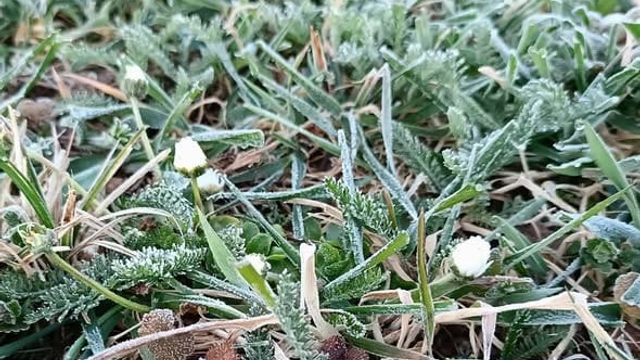 Vrátili sa nočné mrazy: Takto nízko nadránom klesali teploty