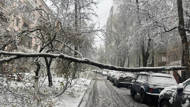 Ťažký sneh láme stromy a prináša snehovú kalamitu. Zima udrela a priniesla do Ruska nový rekord od roku 1880