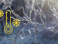 Je to ešte horšie, ako sa čakalo. Teploty poklesli na zničujúce hodnoty pre ovocinárov pod -4 °C