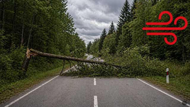 Zmena, ktorá sa nám páčiť nebude, je už tu. Slovensko sa zobúdza do veterného rána