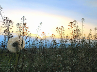 Počasie na zajtra, štvrtok 16. apríla Teploty prudko porastú, no nezabudnite si pribaliť dáždniky