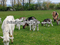 Počasie na zajtra, utorok 14. apríla: Konečne začína teplá jar. Teploty vystúpia až na +20 °C