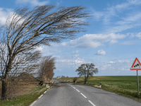 Vietor už láme stromy a naberá na sile. Nárazy dosahujú rýchlosť 70 km/h