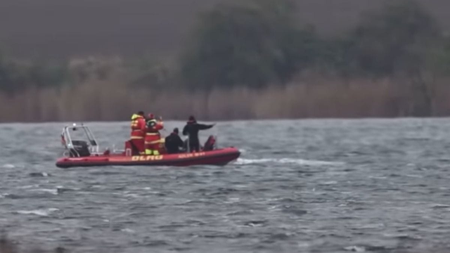 Dráma pri záchrane veľryby Timmy: Hádky, ego a obvinenia. Odstúpila expertka z Havaja