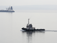 Unikátna záchrana sa podarila! Veľryba Timmy je na ceste do Severného mora