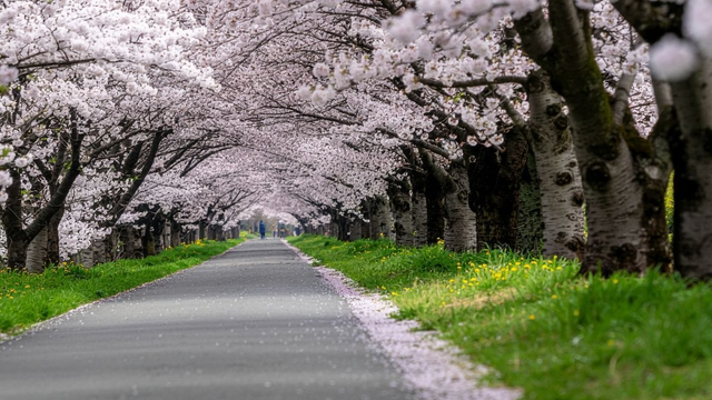 Víkend prinesie pekné, teplé počasie, no v nedeľu príde zmena, ktorá prinesie zrážky aj búrky