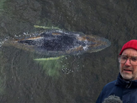 Nádej slabne: Timmy podľa Greenpeace neprežije návrat do Severného mora