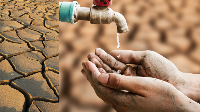 Stredná Európa je na suchu: Podzemné vody sú na minimách z roku 1991, apríl bude lámať rekordy