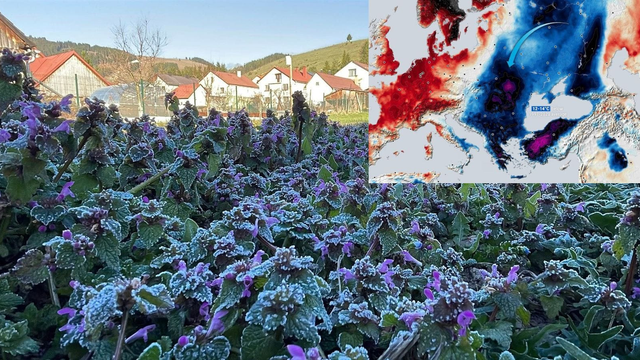 VÝSTRAHA: Pred nami je najkritickejšia noc, ktorá prinesie mrazy aj do úrodných nížin. Teploty poklesnú pod -5 °C