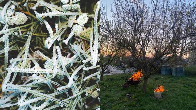 Zima teraz prinesie mrazivú noc. V týchto okresoch bude najsilnejší mráz