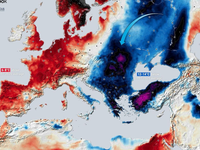 Nezvyčajne chladná vlna ohrozuje úrodu v Európe. Zima v tomto štádiu zdevastuje úrodu
