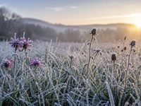 Máme za sebou ďalšiu mrazivú noc. V tomto týždni rozhodne nebola posledná