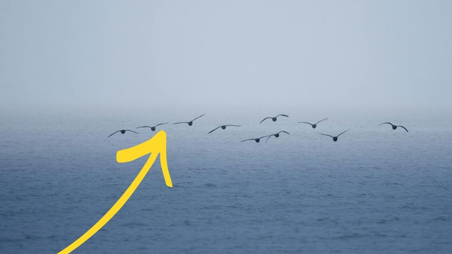 Nová štúdia je veľmi znepokojujúca. Golfský prúd je v ohrození