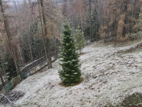 AKTUÁLNE: Na severe Slovenska slabo sneží, ochladenie je citeľné