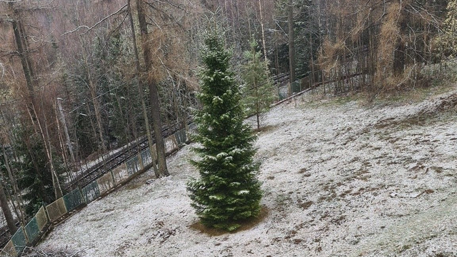 AKTUÁLNE: Na severe Slovenska slabo sneží, ochladenie je citeľné