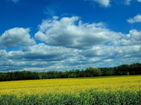 Predpoveď na stredu, 22. apríla: Čaká nás poriadne mrazivé ráno. Platia výstrahy