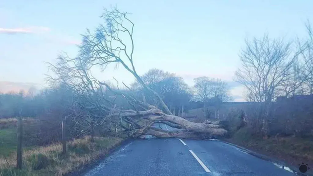 Vietor už dosiahol rýchlosť 145 km/h, ľudia sú bez elektriny