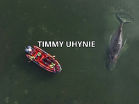 Smutná správa: Timmy zrejme uhynie, jeho osud je spečatený. Úrady ho nezachránia.