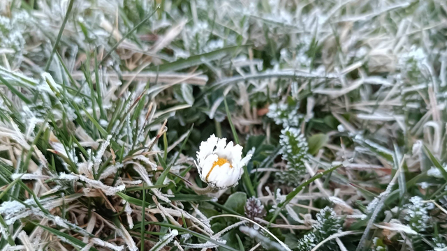 Máme za sebou ďalšiu extrémne mrazivú noc: Kedy to skončí?