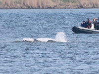 Štát sa na neho vykašľal, tak sa záchrany ujali milionári. Minister s tým nemá problém a záchrana prebieha