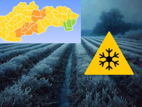 MAPA: Mrazy spália úrodu. Zima sa zajtra vráti a tieto regióny budú na tom najhoršie
