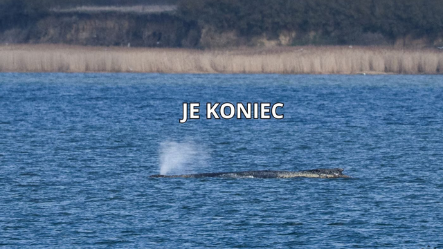 AKTUALITA: Zázrak sa nestane. Urobili všetko, čo sa dalo, no teraz sa budú len prizerať ako Timmy zomrie