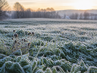 Ďalší úder prízemných mrazov. Počas noci na sobotu je v platnosti výstraha pre takmer celé Slovensko