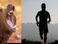 AKTUÁLNE: Medveď zaútočil na bežca priamo na Urpíne v Banskej Bystrici