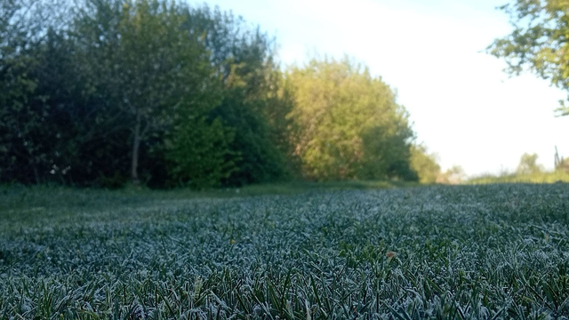 Slovensko znova zasiahli silné nočné mrazy. Teploty klesli pod -5 °C