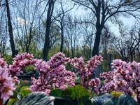 Dnes je najteplejšie. Teplota vystúpila na +24,1 °C, ale neuveríte, kde je najteplejšie