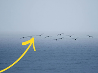 Nová štúdia je veľmi znepokojujúca. Golfský prúd je v ohrození