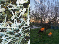 Zima teraz prinesie mrazivú noc. V týchto okresoch bude najsilnejší mráz