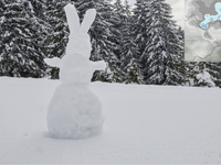 Sever opäť zasypáva sneh, na cestách začínajú vznikať komplikácie