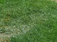 AKTUÁLNE: Juhozápad zasiahli búrky s krúpami. Po ich prechode nás čaká mrazivá noc