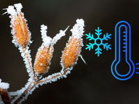 Katastrofa pre úrodu? Počasie hrozí návratom mrazov a možno aj snehu