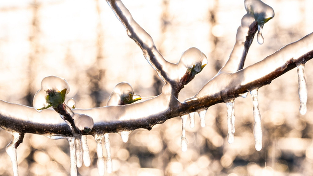 Zvrat v počasí je tu: Nasleduje séria mrazivých nocí. Dokedy bude ešte mrznúť?
