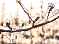 Zvrat v počasí je tu: Nasleduje séria mrazivých nocí. Dokedy bude ešte mrznúť?